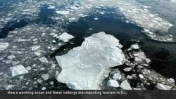 Where are the icebergs? Newfoundland to see fewer this season News Clip