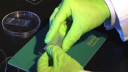 NIST Chip-Scale Assay: A Simple Way to Study Cells Instructional Video