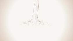 TED-Ed: Why do humans have a third eyelid? | Dorsa Amir Instructional Video