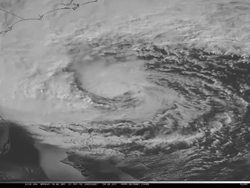 Tools and Measurements in Science and Engineering Instructional Video