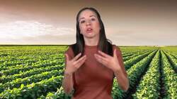 The Beginning of the Great Depression Instructional Video