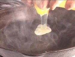 Recognizing Chemical Reactions Instructional Video