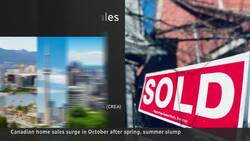 Home sales shoot up as interest rates drop, but many buyers still priced out News Clip