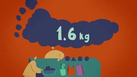 TED-Ed: Which bag should you use? | Luka Seamus Wright and Imogen Ellen Napper