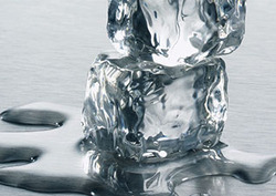 Endothermic Instructional Video