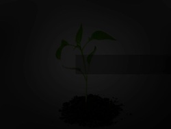 Characteristics of Living Things Instructional Video