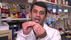 US scientists create monthly birth control pill News Clip