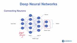 Data Science and Machine Learning (Theory and Projects) A to Z - Deep Neural Networks and Deep Learning Basics: Deep Neural Network Architecture Instructional Video