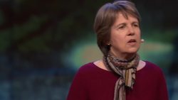 TED: The tiny creature that secretly powers the planet | Penny Chisholm Instructional Video