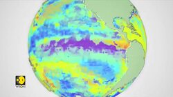 Record-Breaking Heat: January sets hottest temperature for third consecutive year News Clip