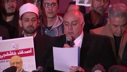 Activists portray MBS with blood on his hands in Turkey vigil for Khashoggi Instructional Video