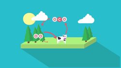BIOLOGY - Environment - Carbon Cycle part 2 Instructional Video