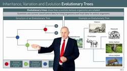 Understanding Evolutionary Trees: An Introduction and Example of Elephants Instructional Video