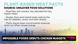 How the Plant-Based Meat Industry is Expanding in the U.S. News Clip
