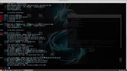 The Complete Ethical Hacking Bootcamp: Beginner To Advanced - Capturing Handshakes with Airodump-ng Instructional Video