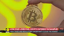 More young Indians turning to crypto for extra income News Clip