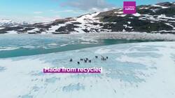 The Herds: Life-sized animal puppets complete epic 20,000km climate crisis journey News Clip