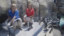 Welcome to Penguin Point! One of the Most Beautiful Places in the World! Instructional Video