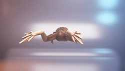 Clawed frog clawing its way through Florida’s wildlife Instructional Video