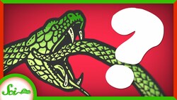 What Happens When a Venomous Snake Bites Itself? Instructional Video