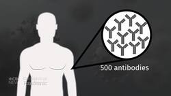 Vancouver biotech firm looking for a COVID-19 cure News Clip