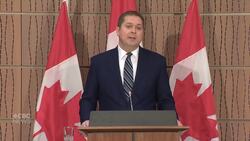 Scheer questioned on banning assault-style weapons News Clip