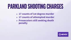 Former Student Accused In Parkland Shooting To Plead Guilty News Clip