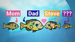 The Weird Sex Lives of Bluegills Instructional Video