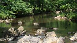 Ecosystem Valuation Instructional Video