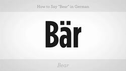 How to Say "Bear" in German Instructional Video