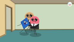 How Do Neurons Work? Instructional Video