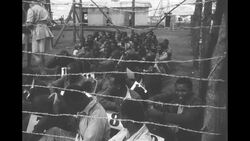 Mau Mau Crisis Rocks Africa 3 News Clip