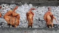 Grilled Chicken, Stock Footage