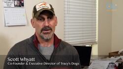 A Dogs Journey Home - Dog Rescuers (S1.E1) Instructional Video