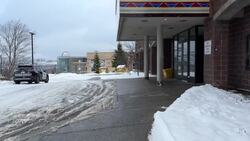 New mural in Corner Brook inspired by caribou coats of the past News Clip