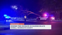 Large tree crashes on wires, blocks part of Howell road News Clip