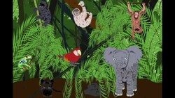 Endangered Animals - Protecting Animals Around the World Instructional Video