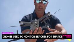 Drones Used to Monitor New York Beaches for Sharks News Clip