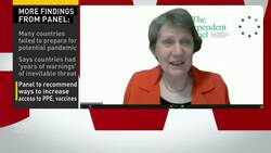 Independent panel criticizes COVID-19 response News Clip