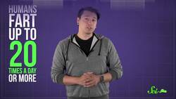 Why Do Some Farts Smell So Bad? Instructional Video