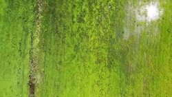 Aerial view of countryside over meadow in spring season Stock Footage