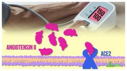 Why Does COVID-19 Have So Many Symptoms? Instructional Video