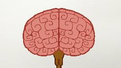 ¿Son peligrosos los Videojuegos? - CuriosaMente 233 Instructional Video