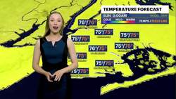 HEAT ALERT: Heat advisory continues in Brooklyn; afternoon storms expected News Clip