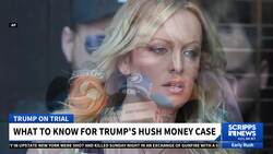 Trump's N.Y. trial to begin as potential jurors face 42 questions News Clip