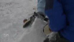 'Is it really snowing?' Some southern U.S. residents making the most of rare wintry conditions News Clip