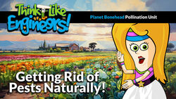 IPM: Helping Honey Bees Overcome Pests and Pesticides Instructional Video