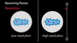 How to use a Microscope Instructional Video