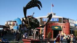 Visiting Fisherman's Wharf in San Francisco Instructional Video