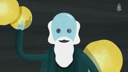 Discovering phosphorus, Hennig Brand's accidental breakthrough Instructional Video